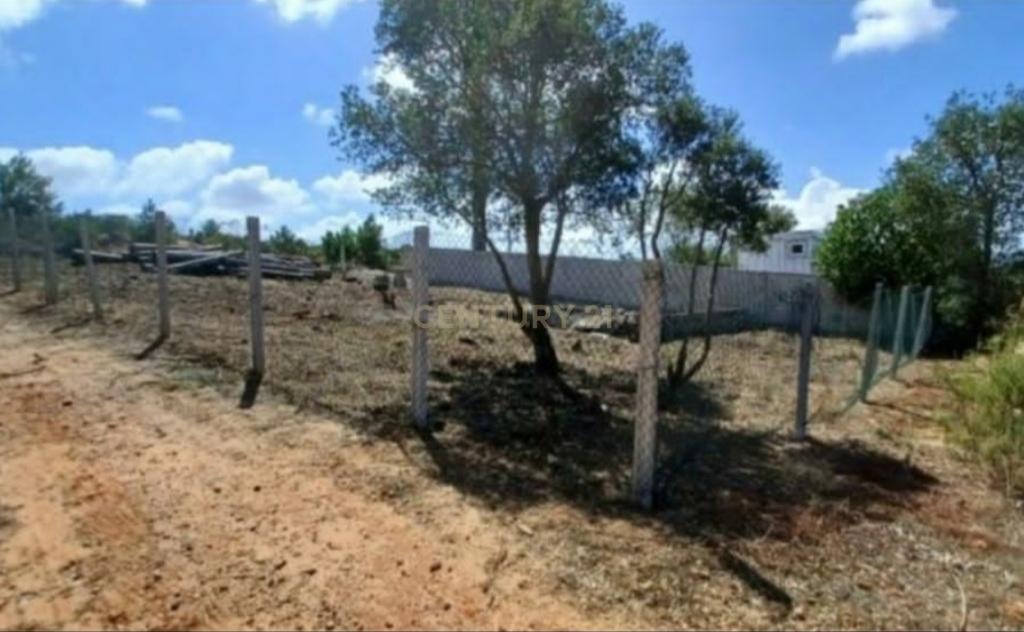 TERRENO 315 m2 em avos  Pinhal Ramudo ( Quinta do Anjo ) - Image 1