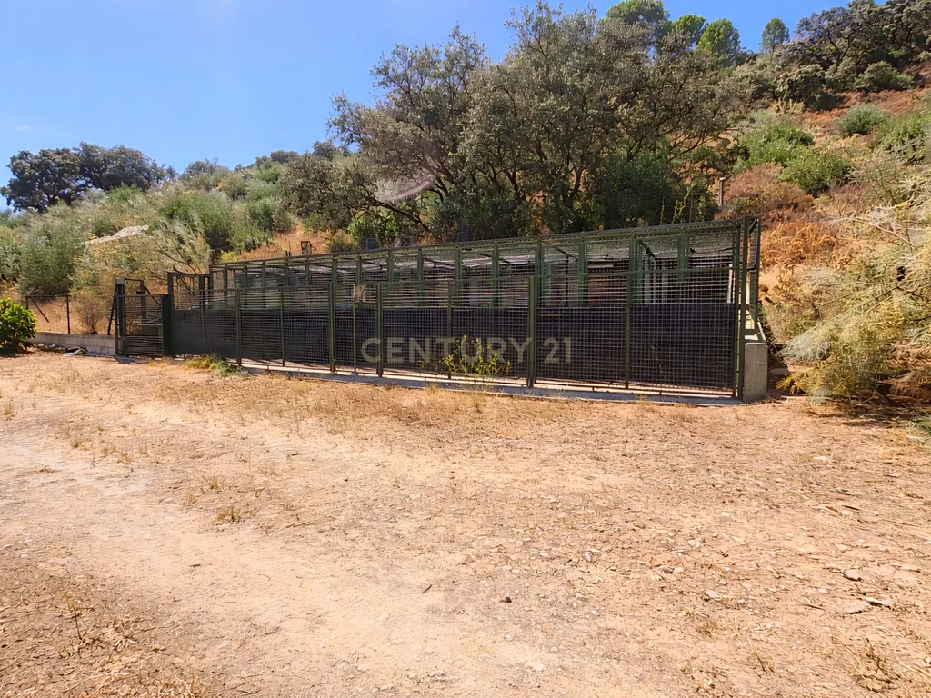Quinta com vistas panorâmicas em Ronda, piscina privada, olival em produção e casa andaluza · Ideal para investimento em turismo rural - Image 27