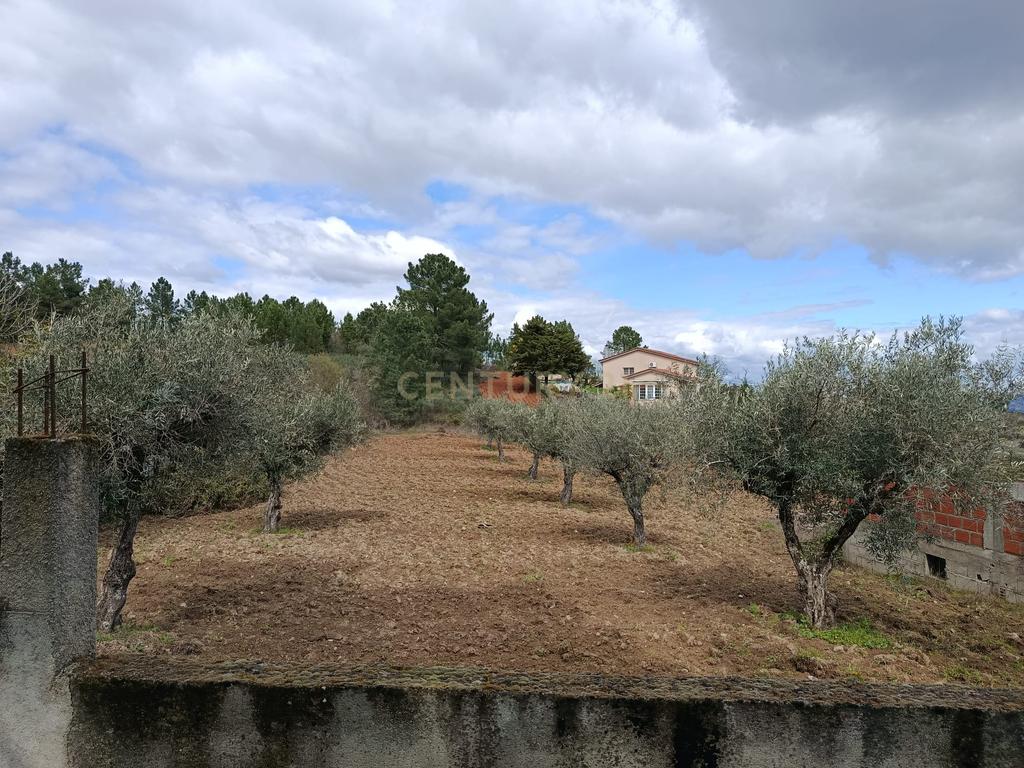 Terreno para Construção em Vale de Gouvinhas - Mirandela - Image 8