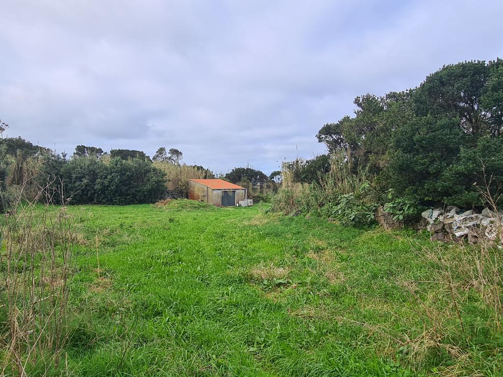 Terreno Rústico em Ribeira Grande com Jardim e Árvores Antigas - Image 11
