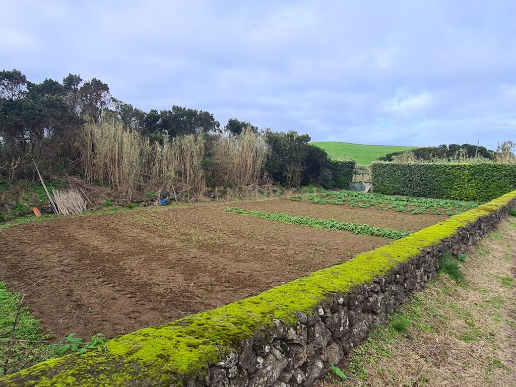 Terreno Rústico em Ribeira Grande com Jardim e Árvores Antigas - Image 10