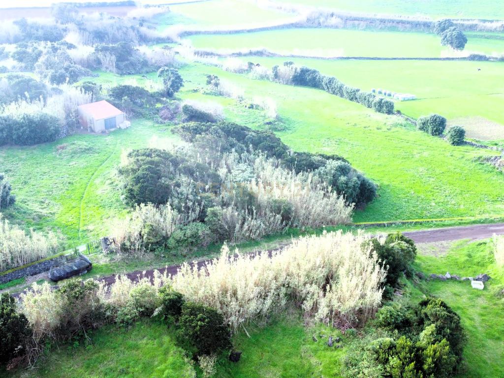 Terreno Rústico em Ribeira Grande com Jardim e Árvores Antigas - Image 12