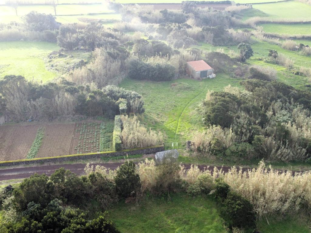 Terreno Rústico em Ribeira Grande com Jardim e Árvores Antigas - Image 13