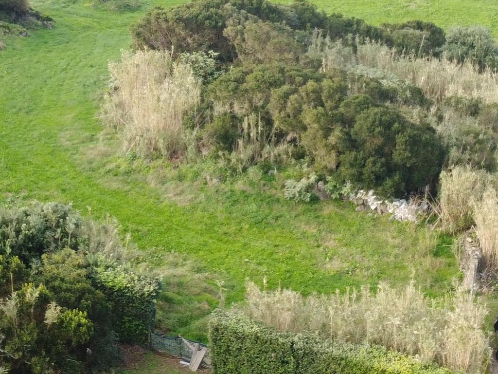 Terreno Rústico em Ribeira Grande com Jardim e Árvores Antigas - Image 3