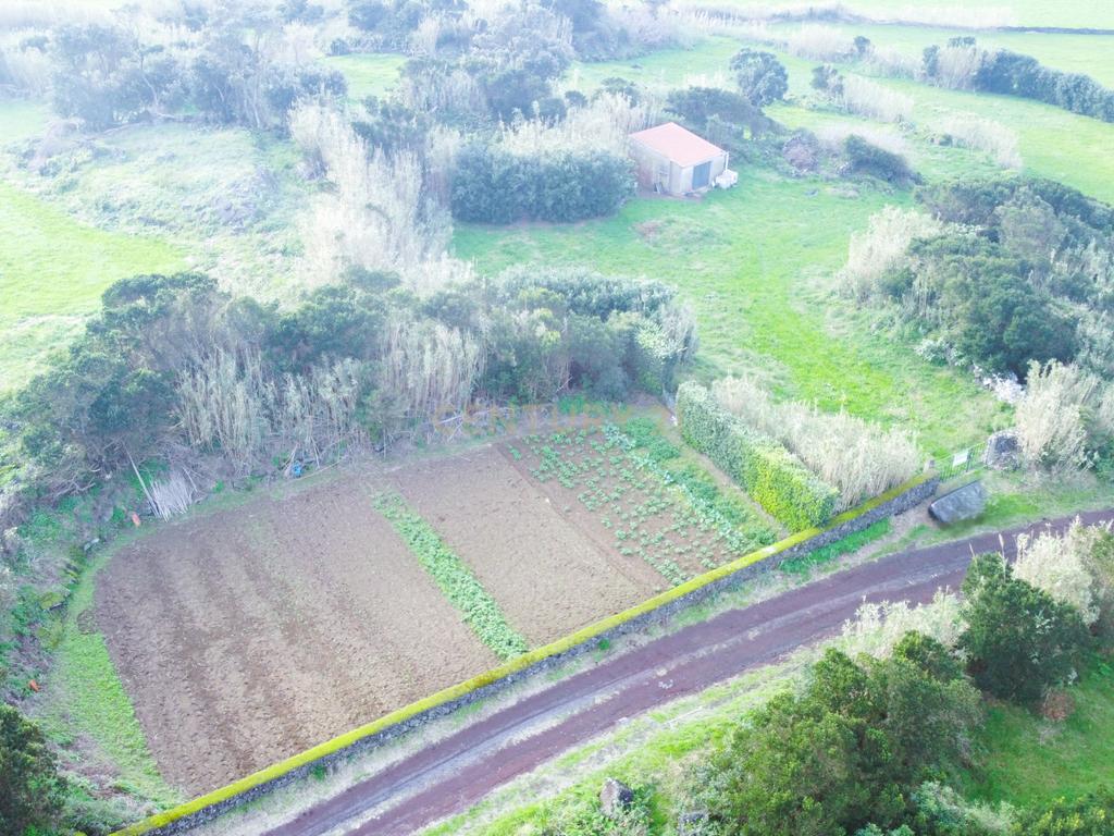 Terreno Rústico em Ribeira Grande com Jardim e Árvores Antigas - Image 2