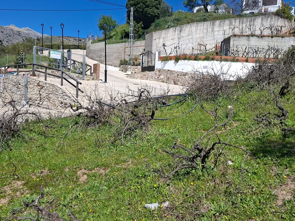 Moradia geminada de gaveto, com orientação sul, vistas para a montanha e duas propriedades rústicas com oliveiras, vinhas e castanheiros, no coração do Alto Genal. - Image 30