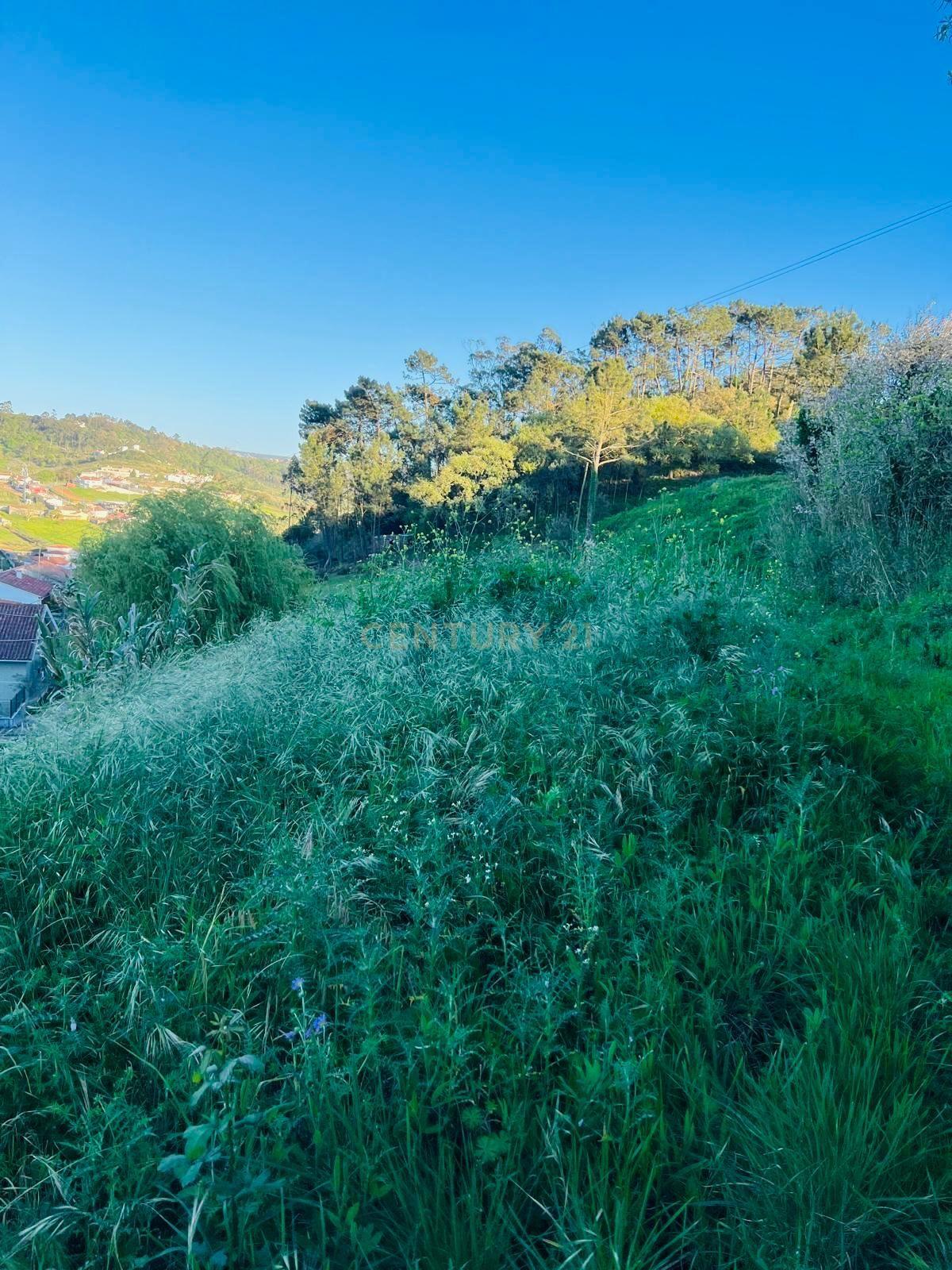 Fotografia 3 de Terreno para construção no Vimeiro