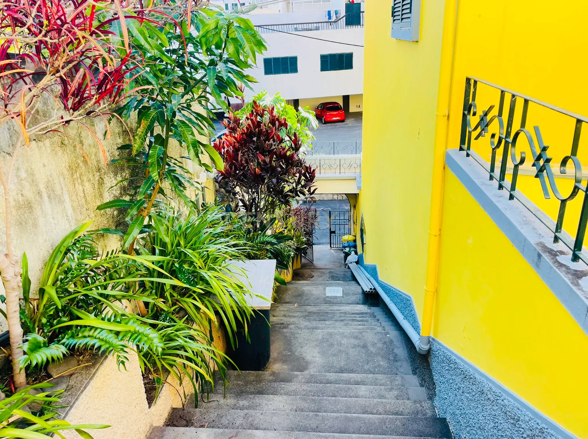 Moradia T1 à venda em Funchal (São Pedro), Funchal — foto 3