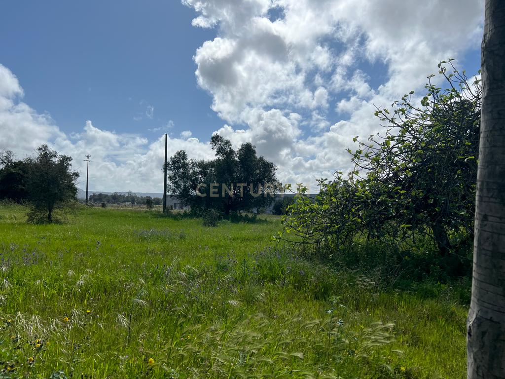 Terreno Industrial de 20.500 m² em Localização Estratégica - Image 9