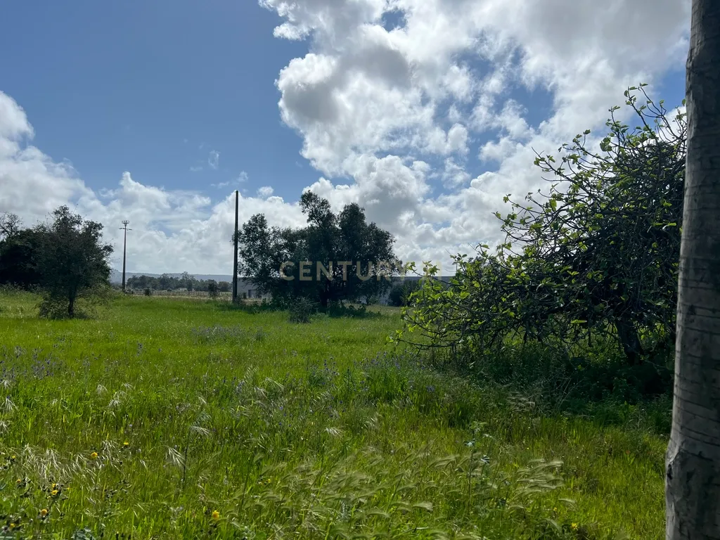 Terreno Industrial de 20.500 m² em Localização Estratégica - Image 9