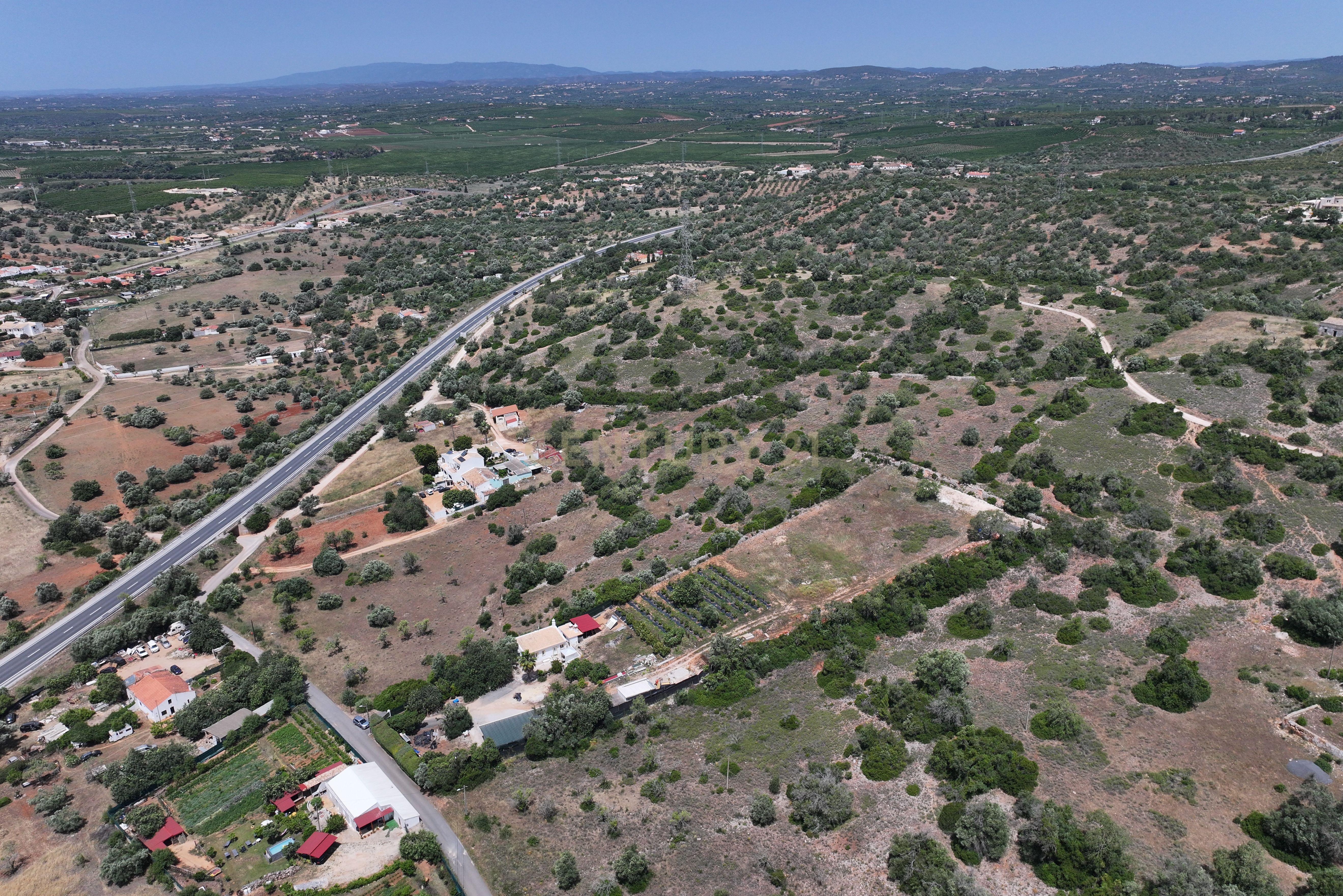 Fotografia 10 de Terreno rústico localizado em Gateiras em Tunes, com uma área total de 14880m².