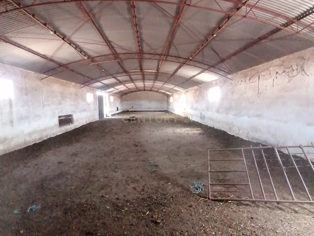 Beja, 2040,150 m2 de Armazéns Diversos instalados em 7190,690 m2 de terrenos Urbanos e ainda 2,5 hectares de terrenos Rústicos - Image 3