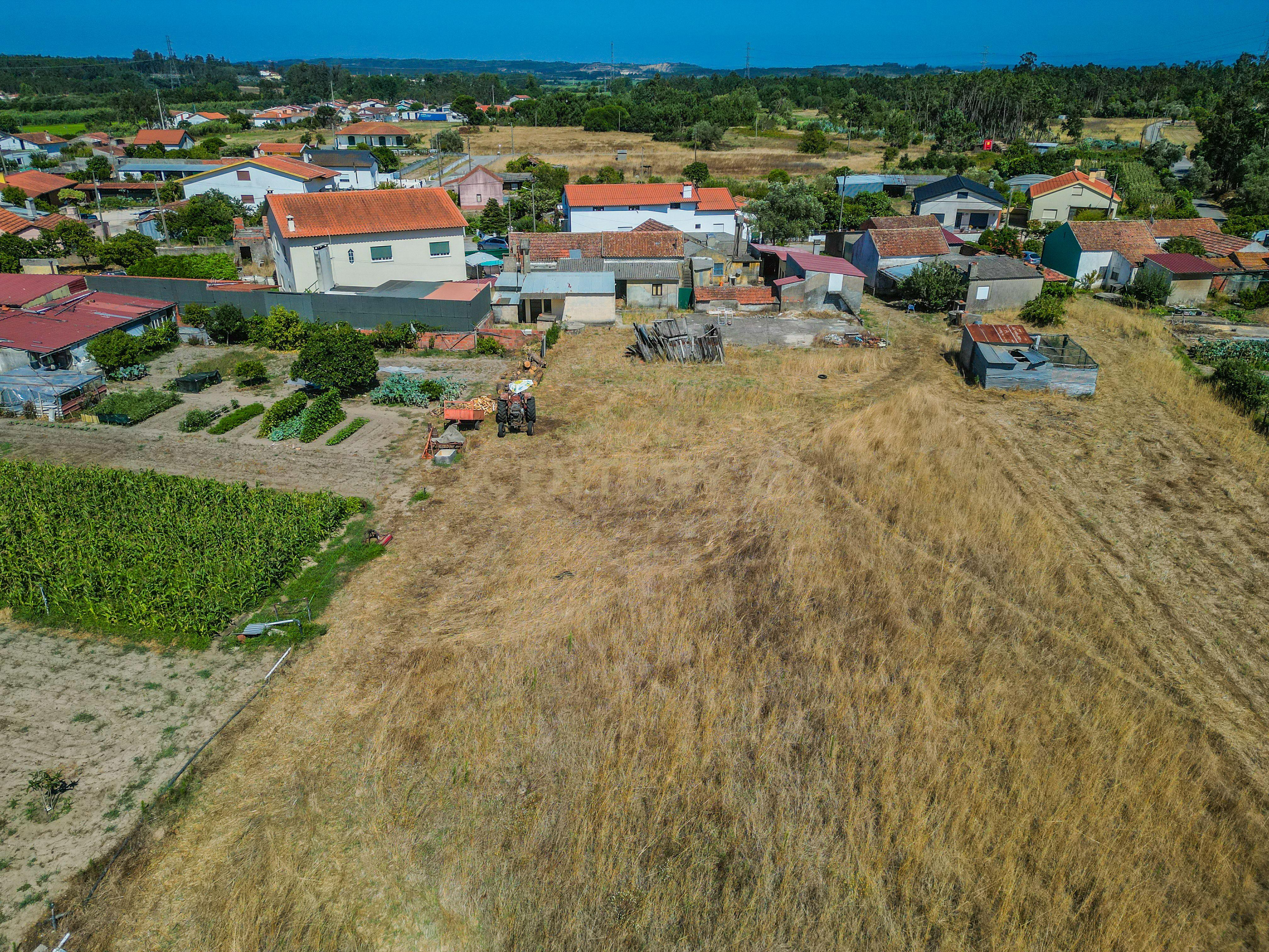 Fotografia 10 de Casa Antiga em Maiorca, Figueira da Foz