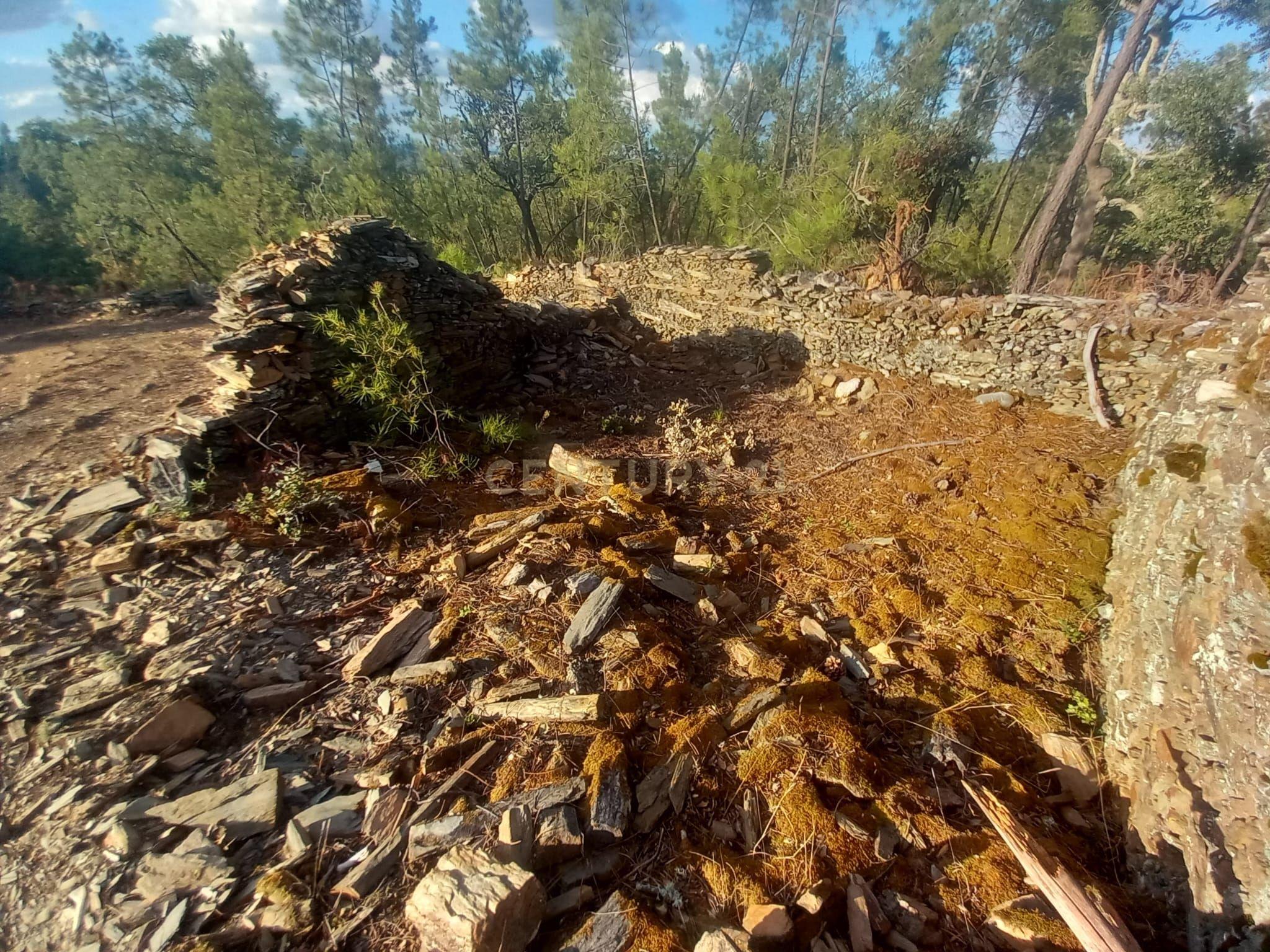 Fotografia 5 de Terreno em Benquerenças, Castelo Branco - 2800m²