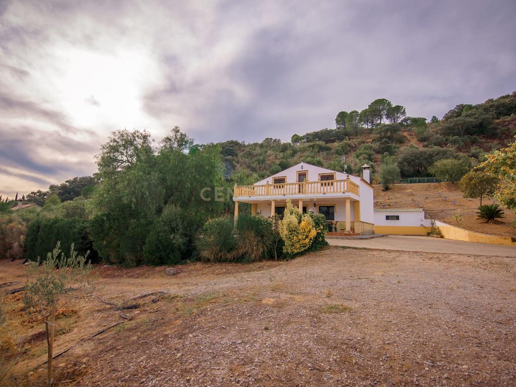 Uma propriedade rural rodeada pela natureza com uma casa de dois andares, piscina privada vedada e terraço para banhos de sol, licença turística, um olival produtivo, instalações para animais adaptáveis ​​e acesso pavimentado a apenas 10 minutos de Ronda. - Image 27