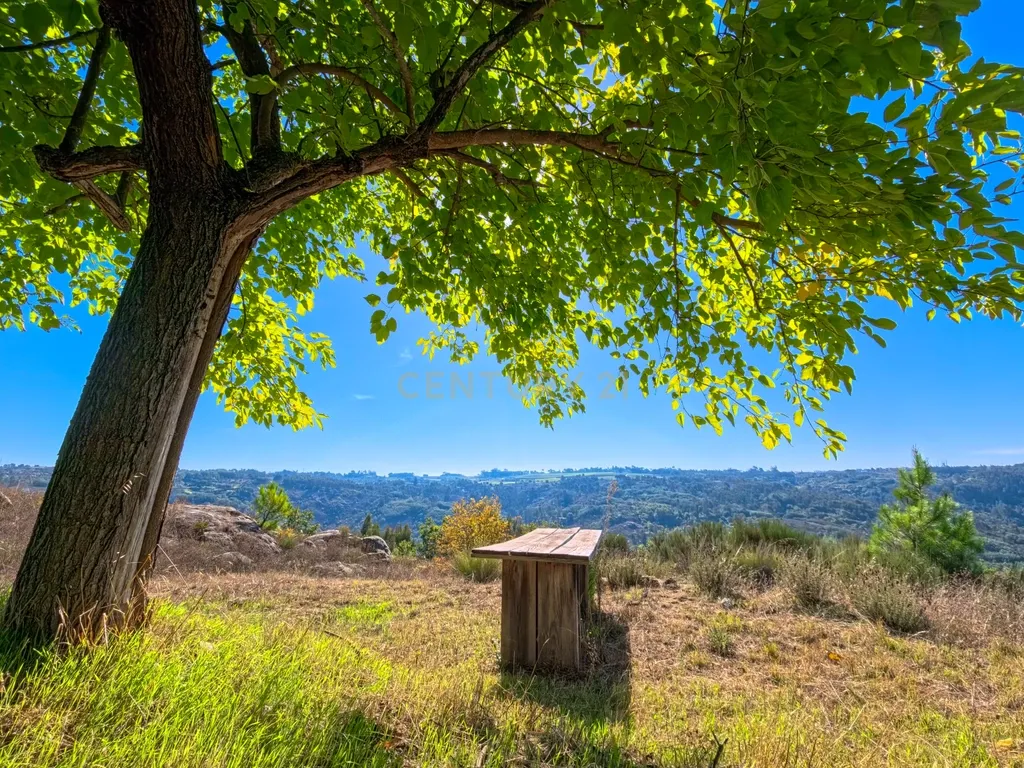 O Seu Refúgio de Luxo em Silgueiros: Elegância,Sustentabilidade e Uma Vista Inigualável - Image 15