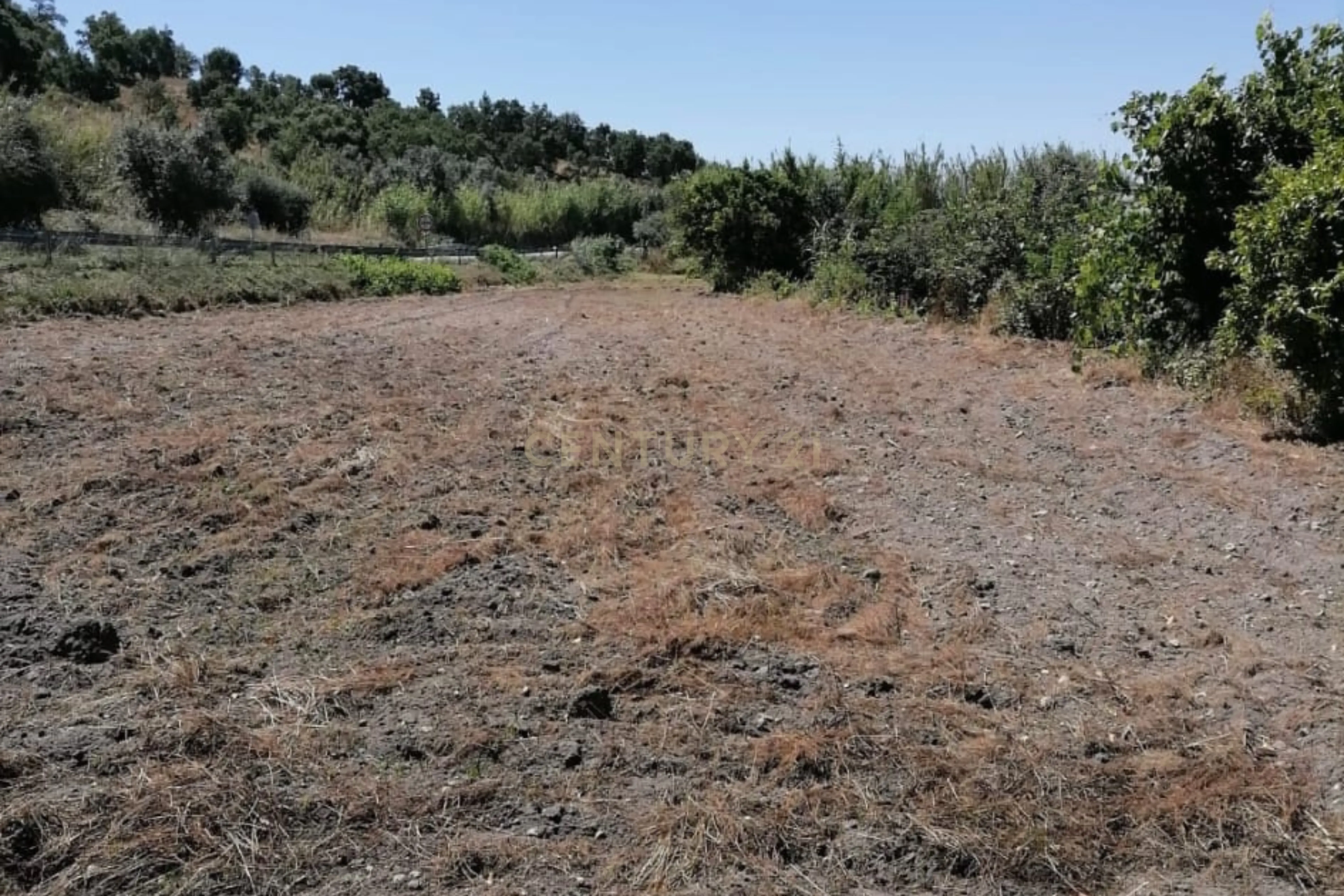 Fotografia 12 de Terreno Agrícola em Gavião, Portalegre - 2500m² com casa