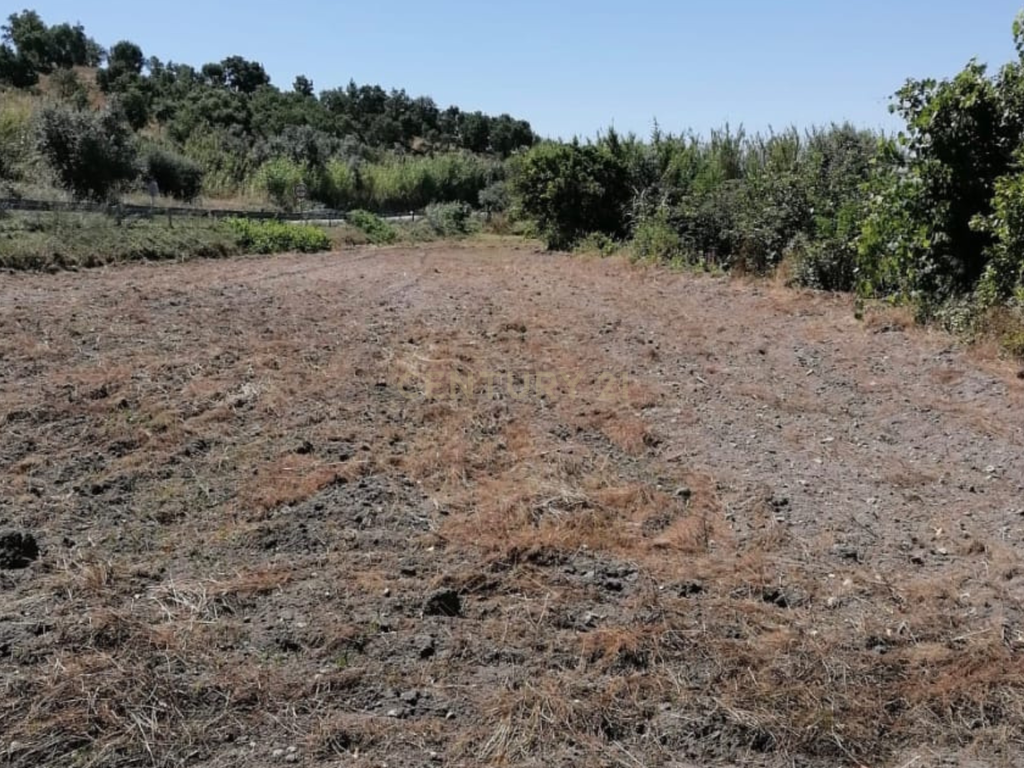 Terreno Agrícola em Gavião, Portalegre - 2500m² com casa - Image 12