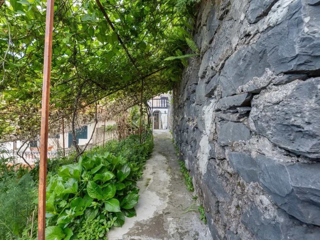 Moradia no Livramento, Funchal - Excelente Oportunidade de Investimento - Image 22