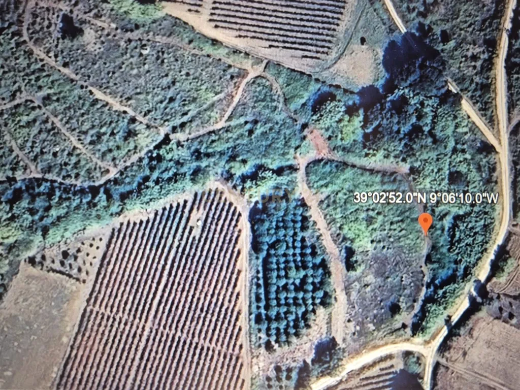 Terreno Misto - Alenquer - Image 7