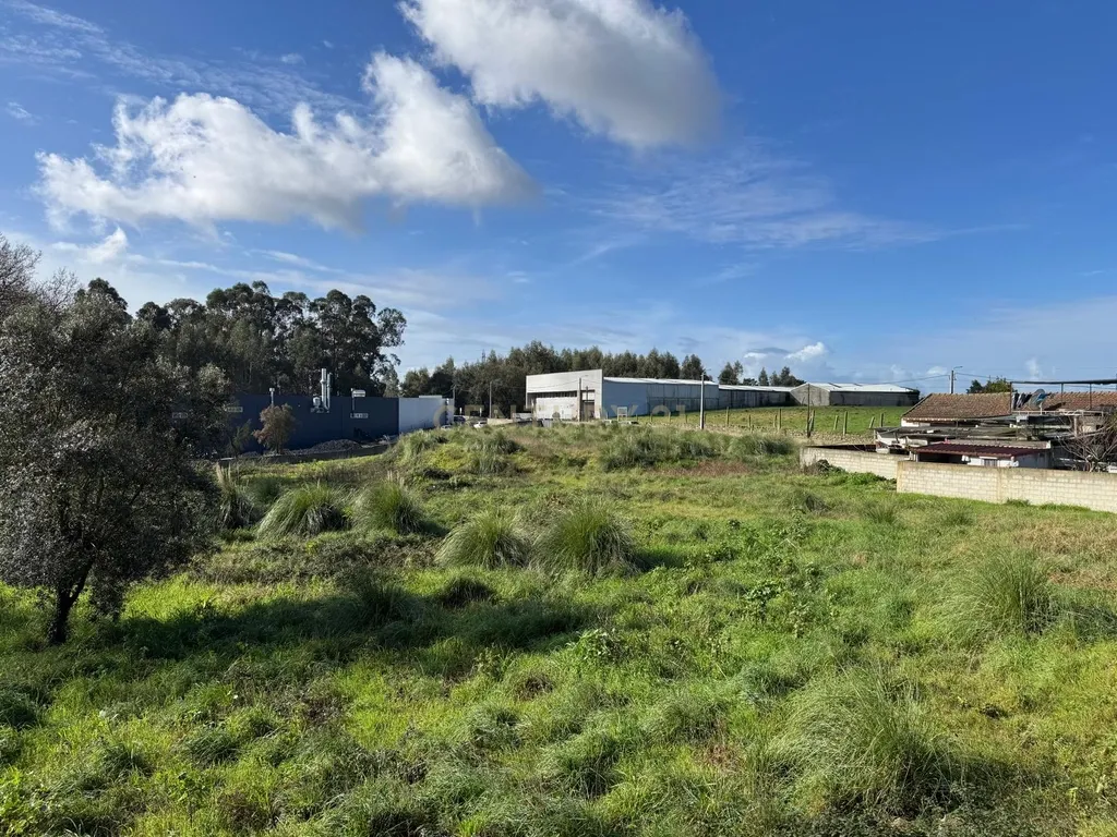 Terreno C/ 12.000 M2 com viabilidade de construção - Image 10