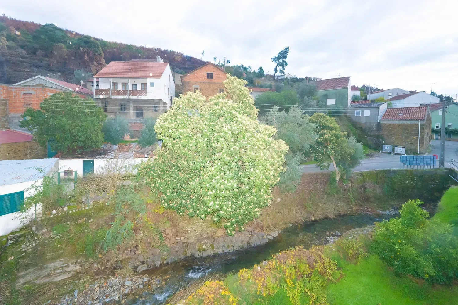 Fotografia 11 de Moradia para Recuperar com Vista Lago | Vale da Figueira – Castelo Branco