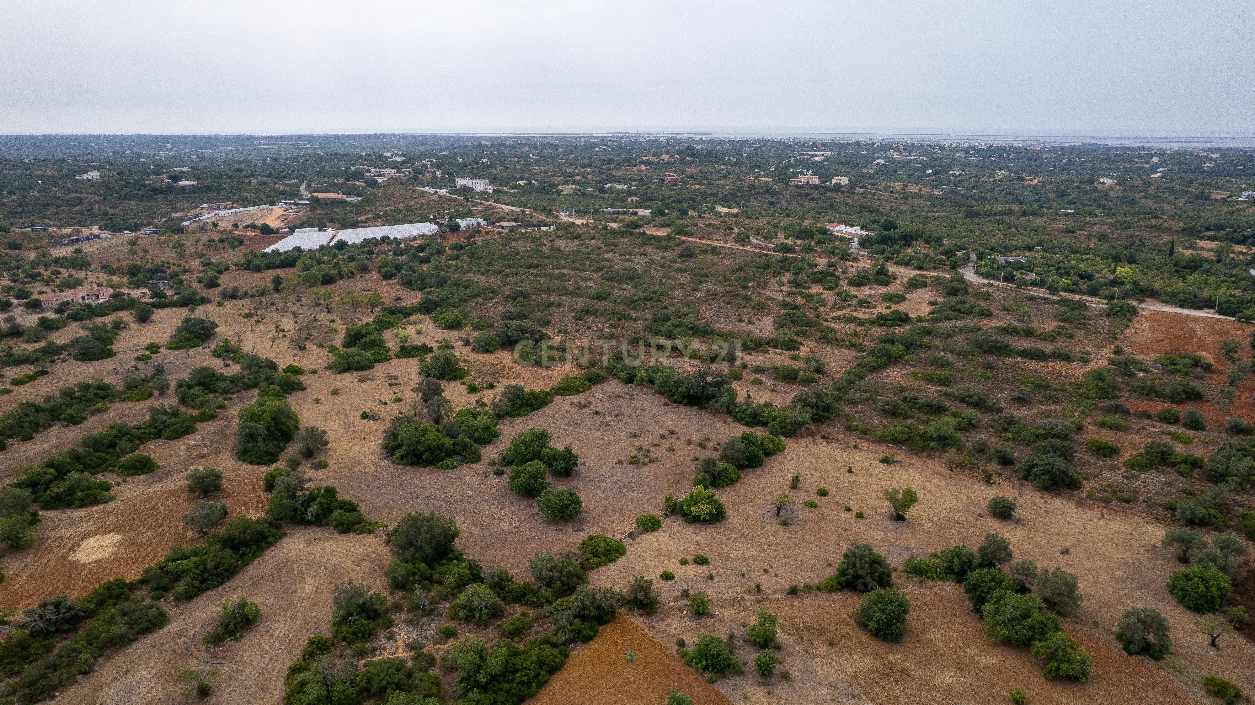 Fotografia 7 de Terreno Rústico de 7.580 m² entre Pechão e Estoi