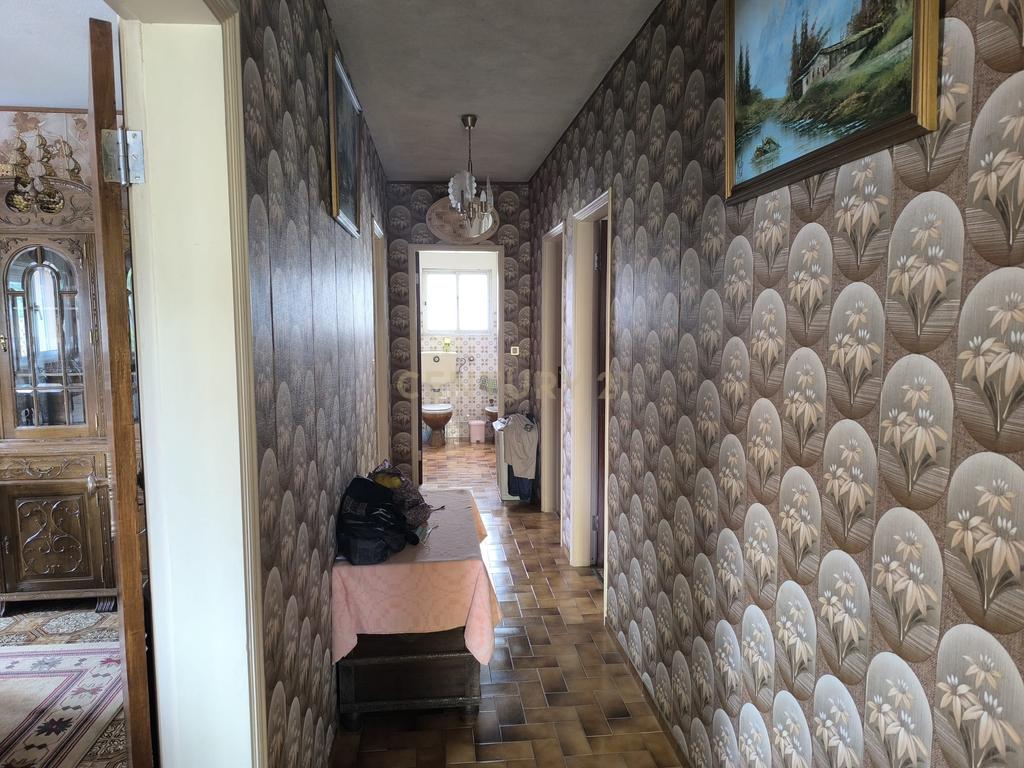 Casas prontas a habitar com terreno, arvores de fruto, forno e água própria. - Image 13