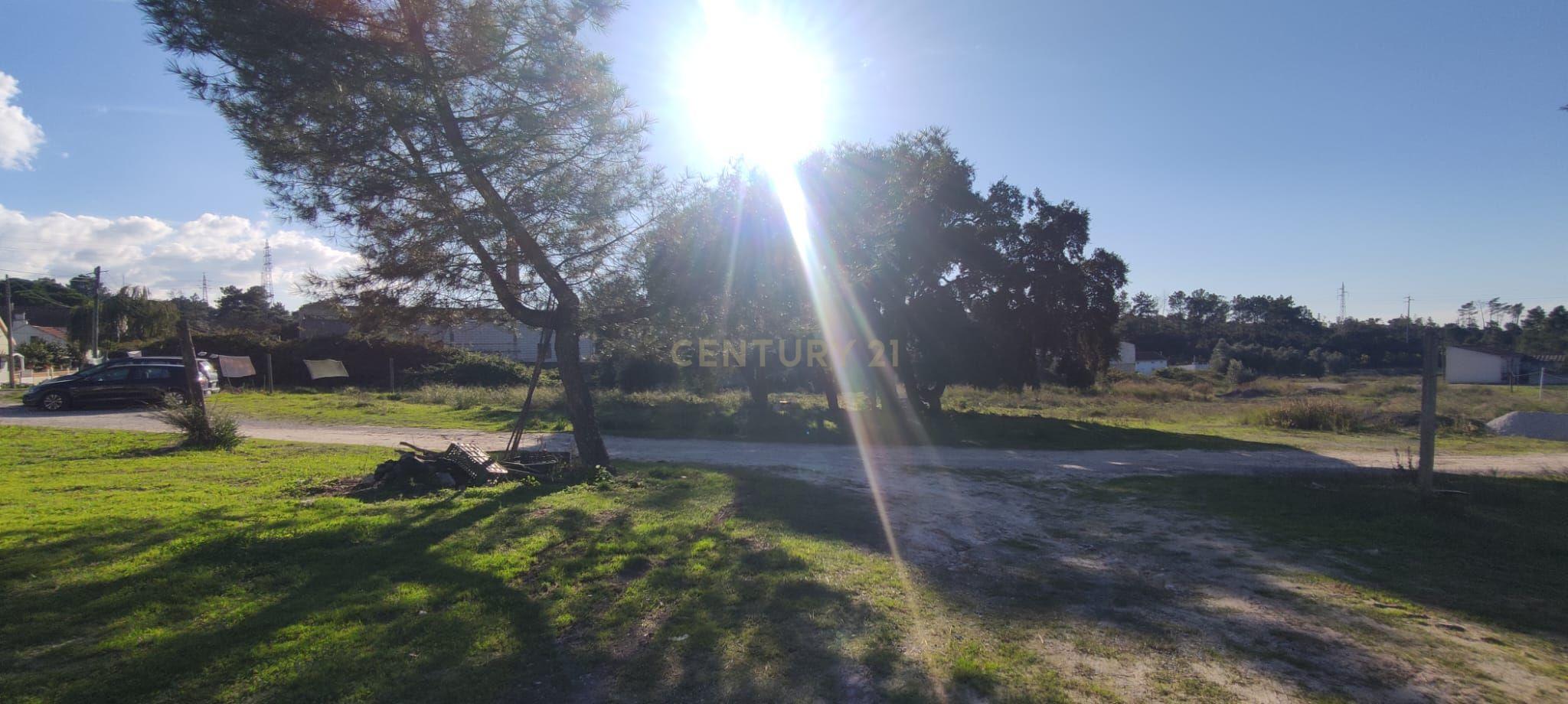 Terreno c/ projeto de loteamento aprovado para 10 lotes a 20 min de Lisboa  - Image 8