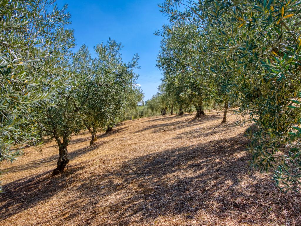 Moradia localizada na capital de distrito, no coração do Nordeste Transmontano. - Image 44