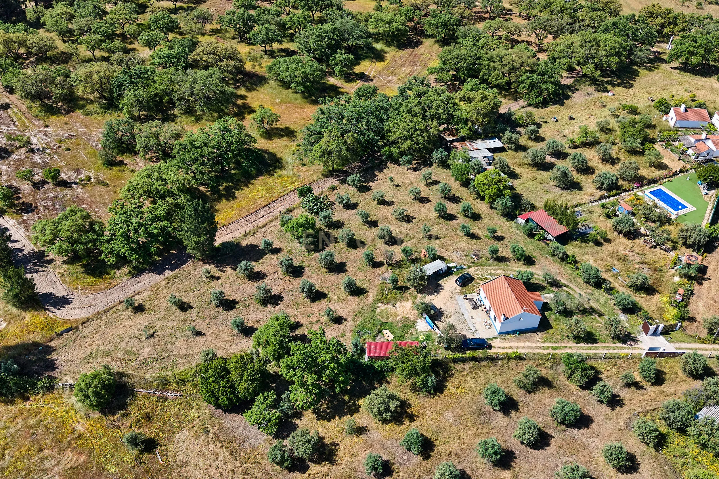 Viva o autêntico Alentejo – Seu refúgio em Ermidas do Sado - Cova do Gato espera por si - Image 21