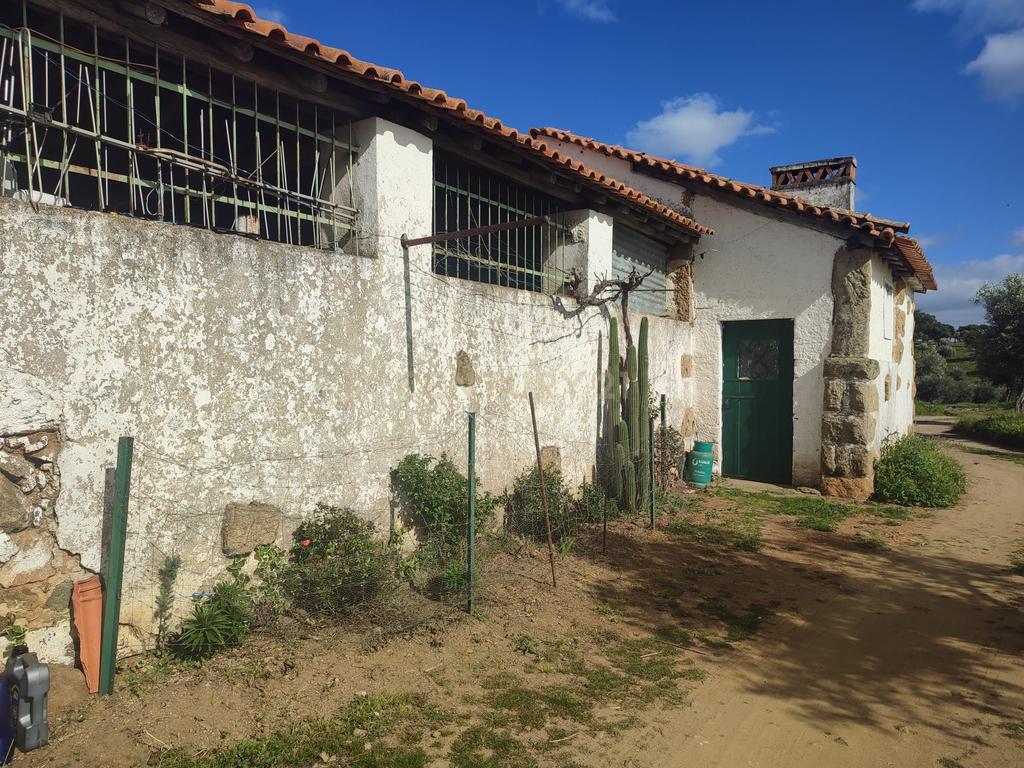 Quinta 54ha, Escalos de Baixo, Castelo Branco - Image 24