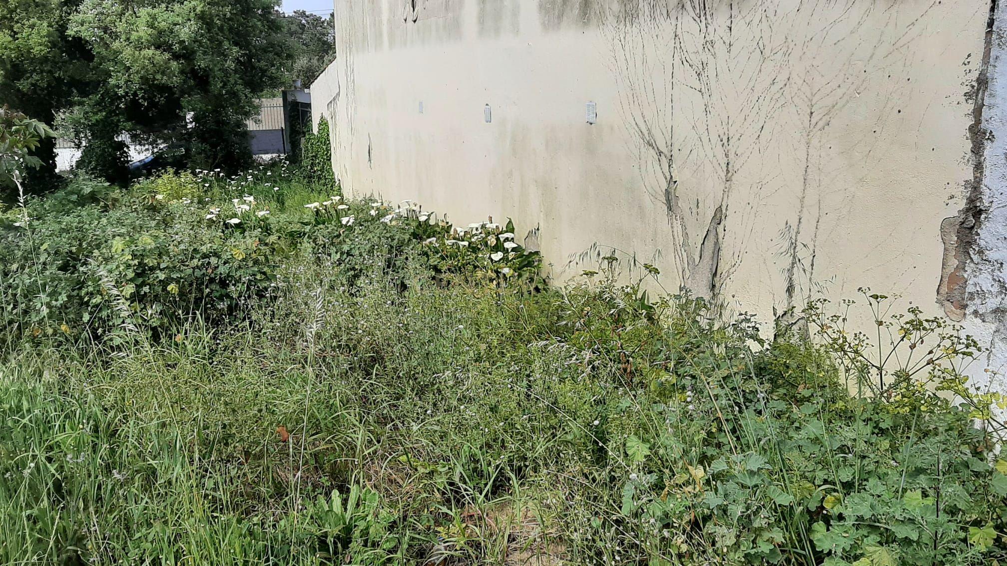 Terreno Urbano nas Quintinhas 600m2 duas frentes de estrada, ótima localização - Image 7
