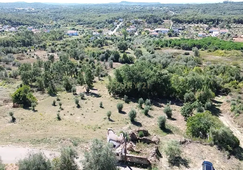 Terreno com Ruína com Vista Panorâmica em Ferreira do Zêzere - Image 1