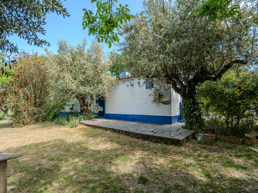 Quinta T3+3 com 4 HA em Borba – Natureza, Produção Agrícola e Conforto - Image 15