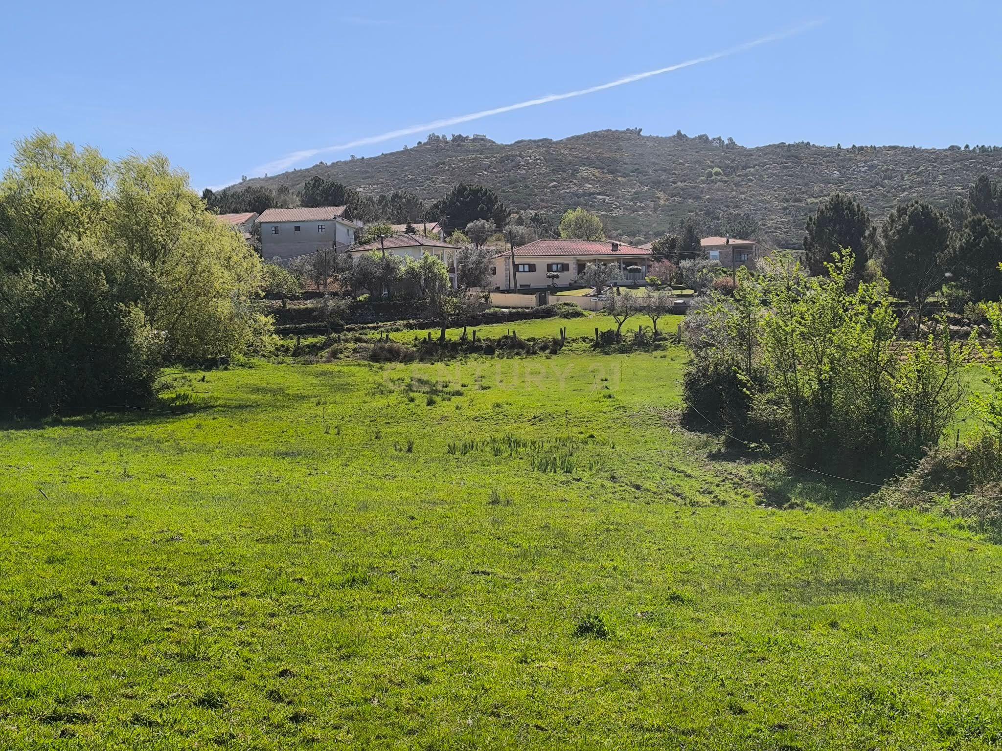 Fotografia 12 de Casa antiga, em pedra de granito, com terreno, poço e árvores de fruto.