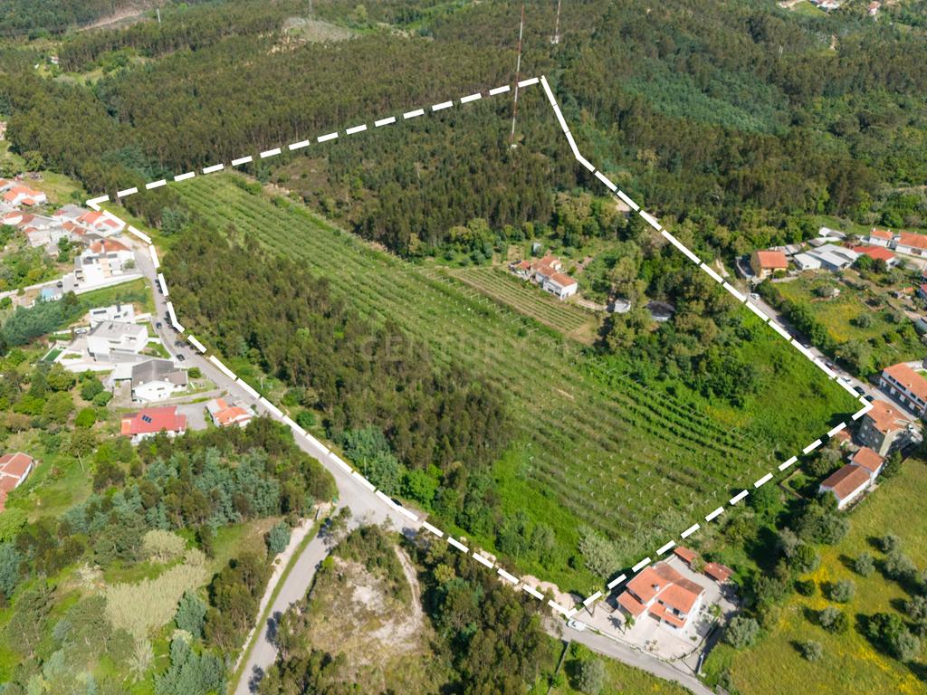 Quinta com 8 hectares com potencial para construção – Antanhol - Coimbra - Image 2