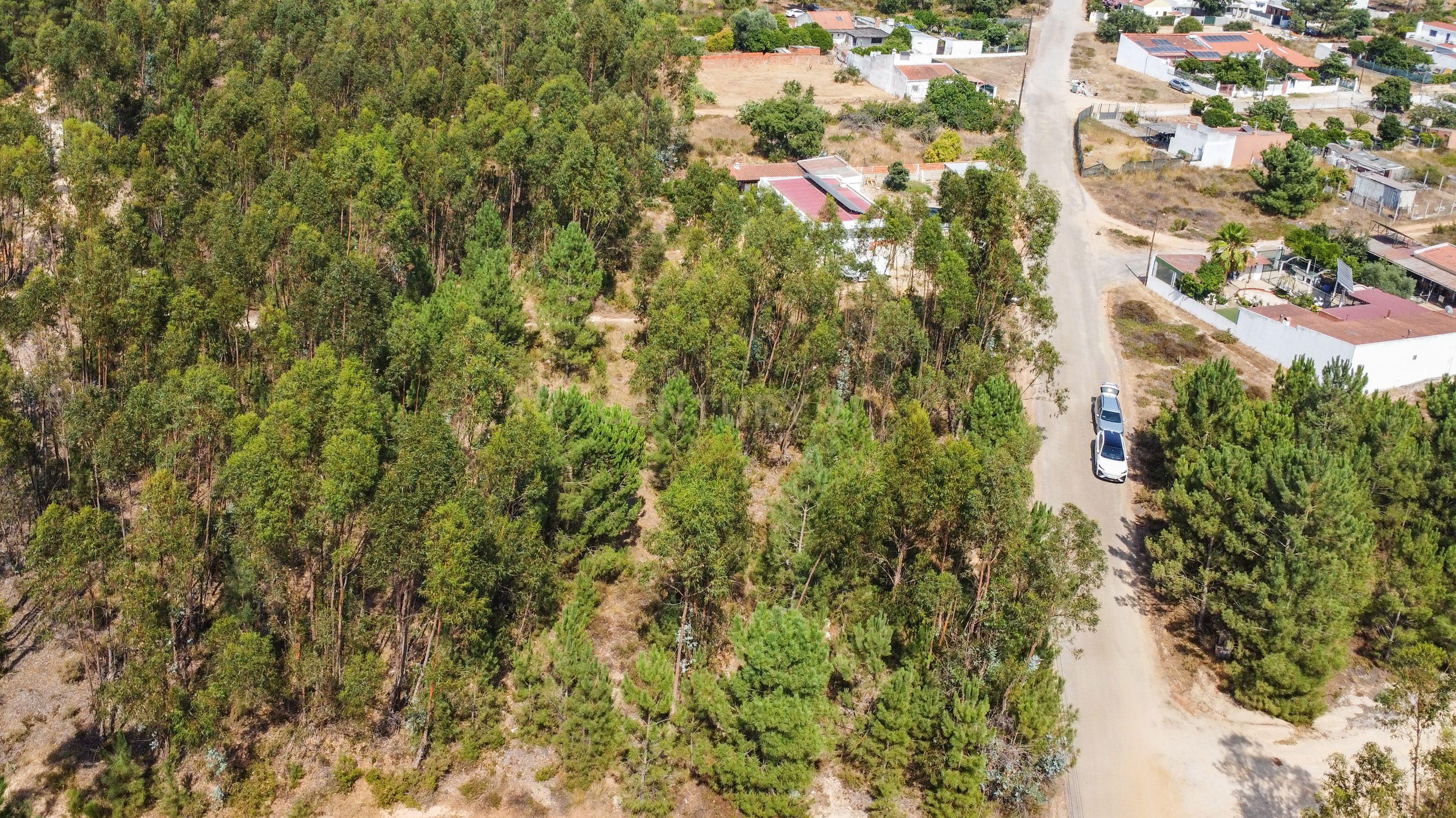 Fotografia 9 de Lote de Terreno com Elevado Potencial de Construção – Herdade do Pinhal das Formas, Quinta do Anjo