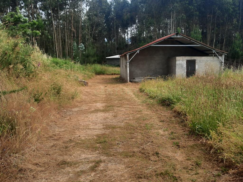 Casa moderna T3  e terreno rústico perto de Oliveira de Frades e Vouzela, preço total 125.000.00 euros! - Image 18