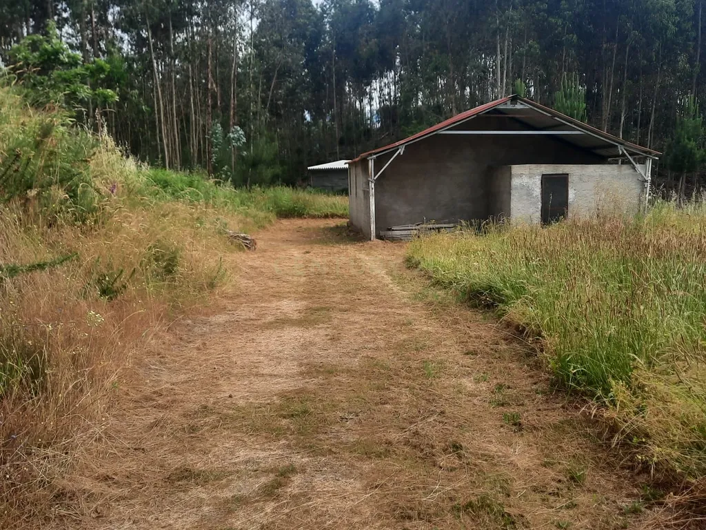 Casa moderna T3 e terreno rústico perto de Oliveira de Frades e Vouzela, preço total 125.000.00 euros! - Image 18