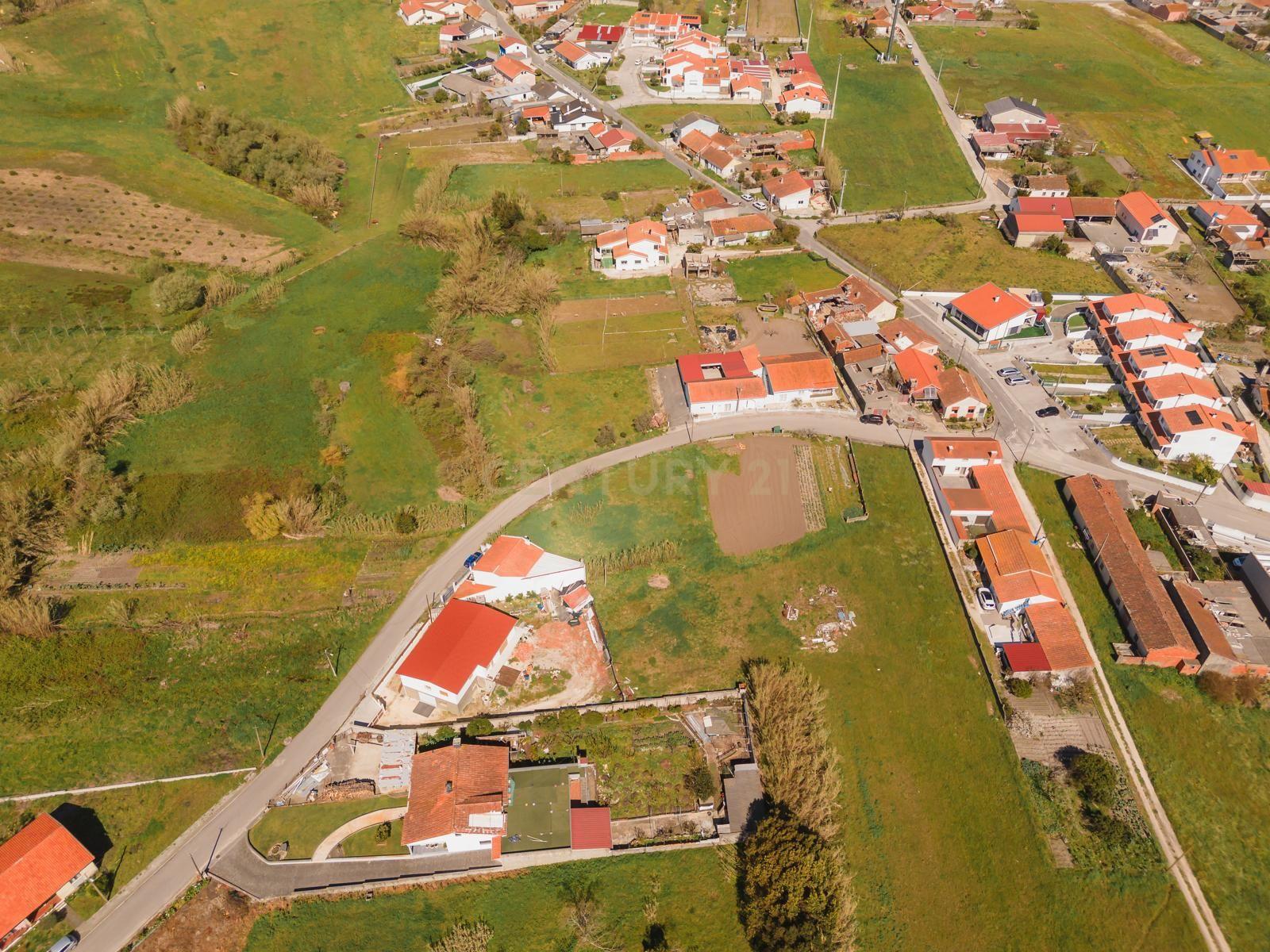 Fotografia 9 de Terreno em Monte Real, Leiria