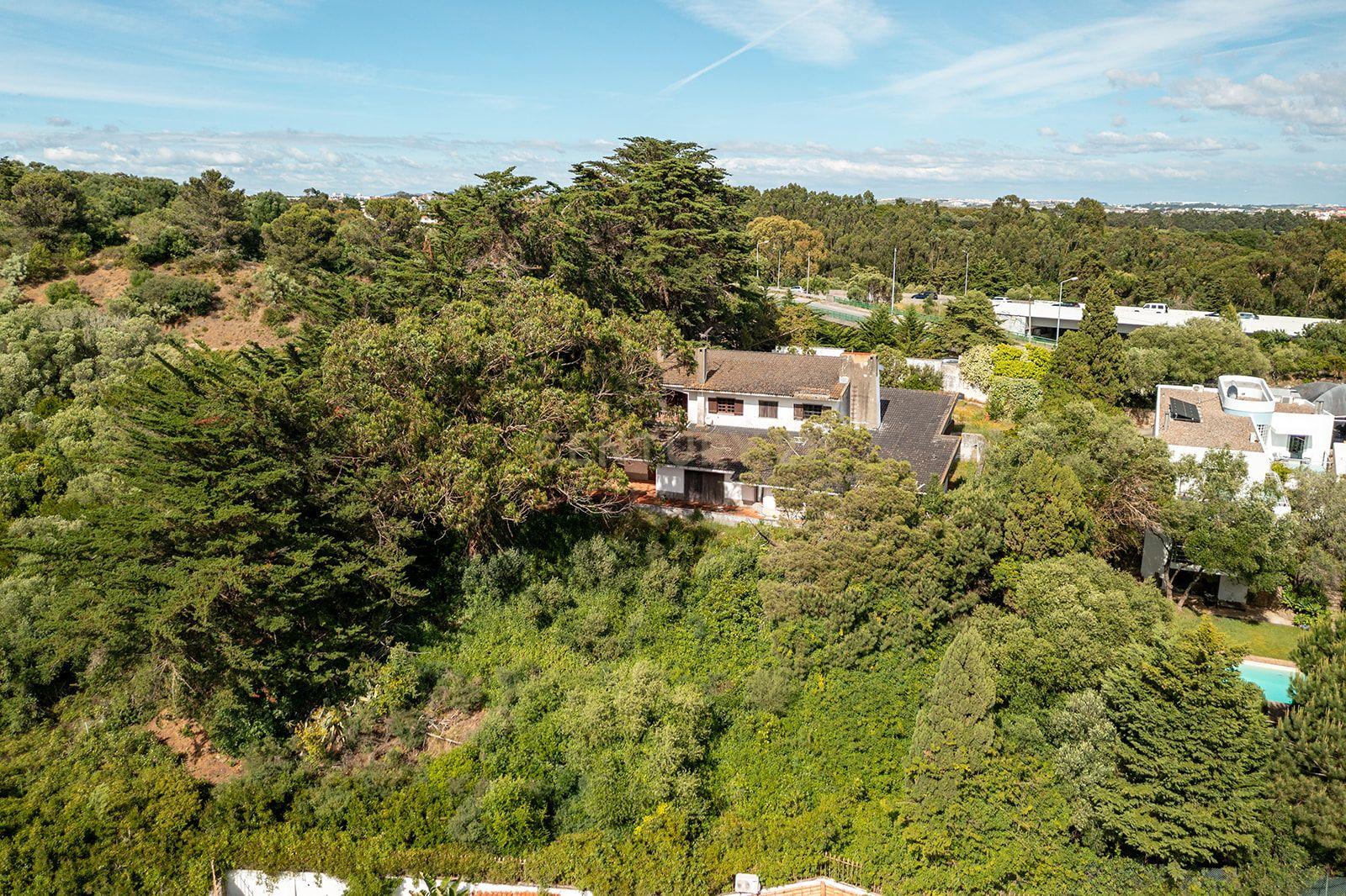 Fotografia 5 de Moradia para Reabilitação Total, com 540 m² de Área Bruta de Construção, em Lote Urbano de 2.350 m² | Alcabideche, Cascais