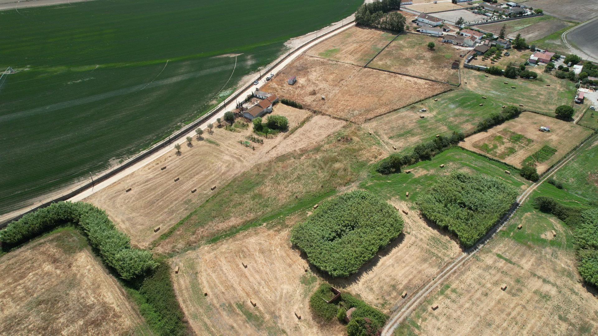 Fotografia 12 de Terreno com 8.700 m² no Rego da Amoreira — Alcochete