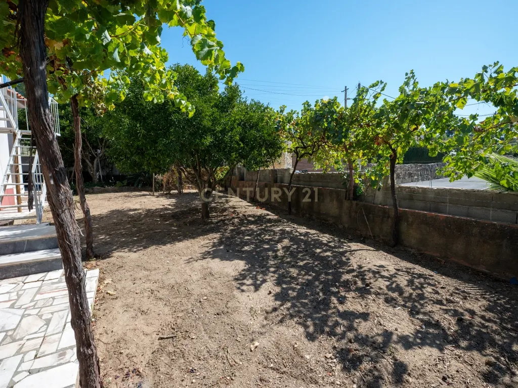 O melhor do campo, à saída de Lisboa - Image 22