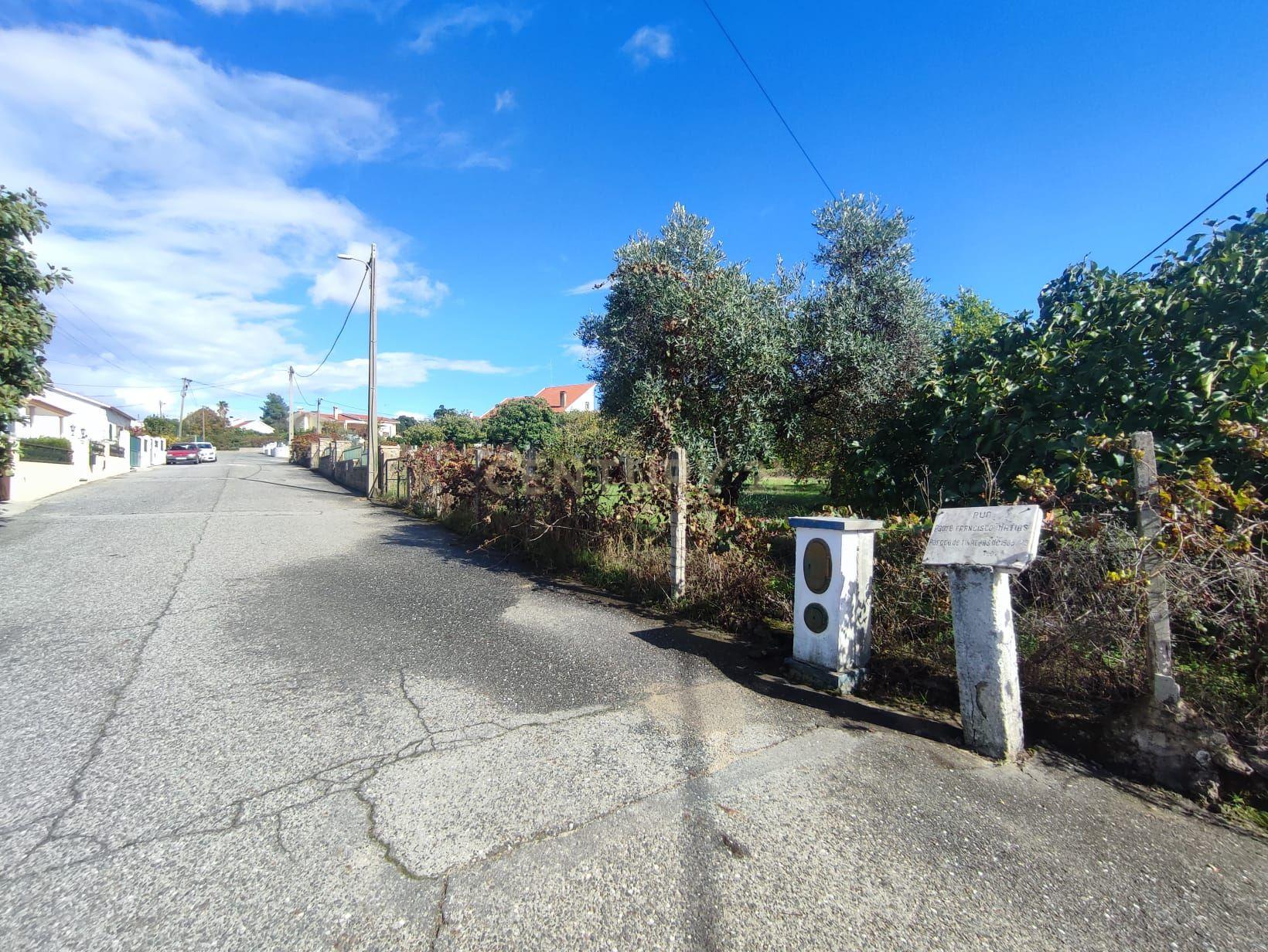Terreno Urbano, Tinalhas, Castelo Branco - Image 13