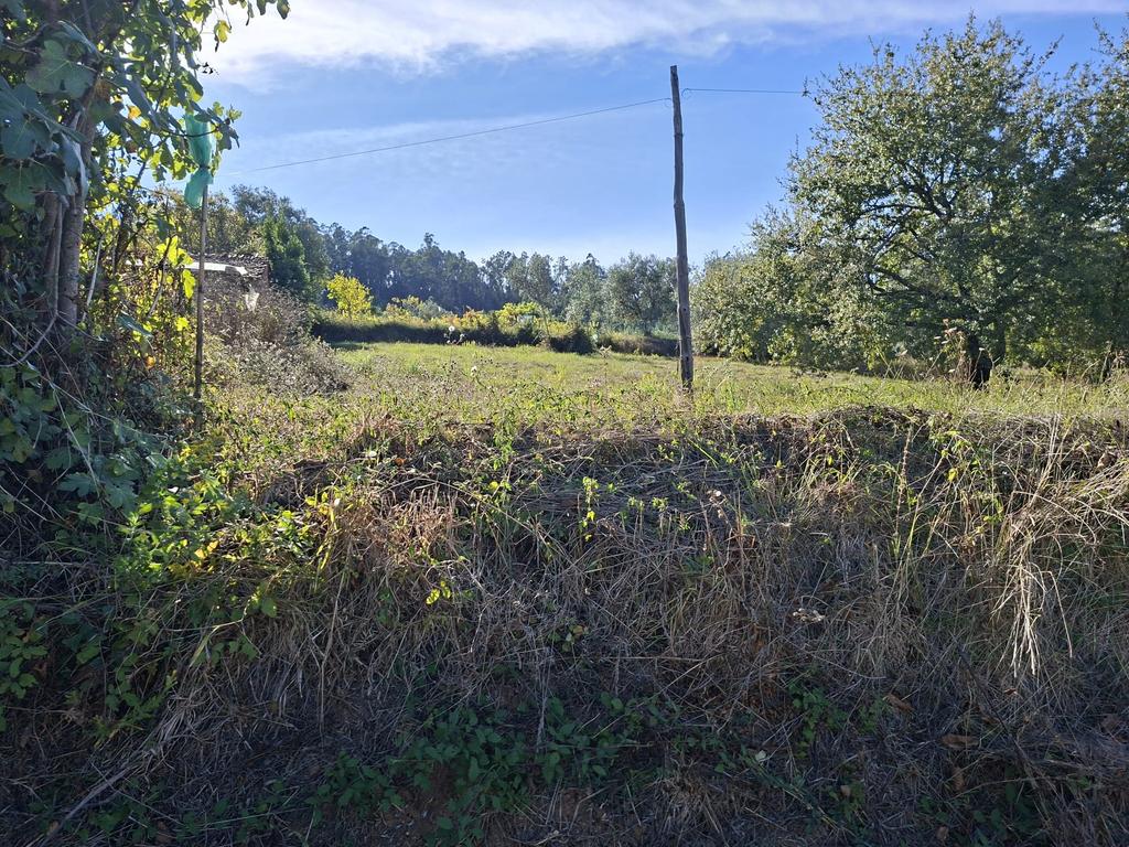 Terreno em Pombal com Vista Panorâmica e Acessos Convenientes - Image 30
