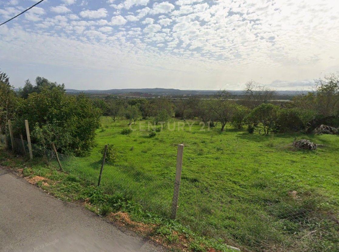 Fotografia 8 de Exclusivo Terreno com 6.320m² em Silves – Natureza, Privacidade e Potencial no Coração do Algarve