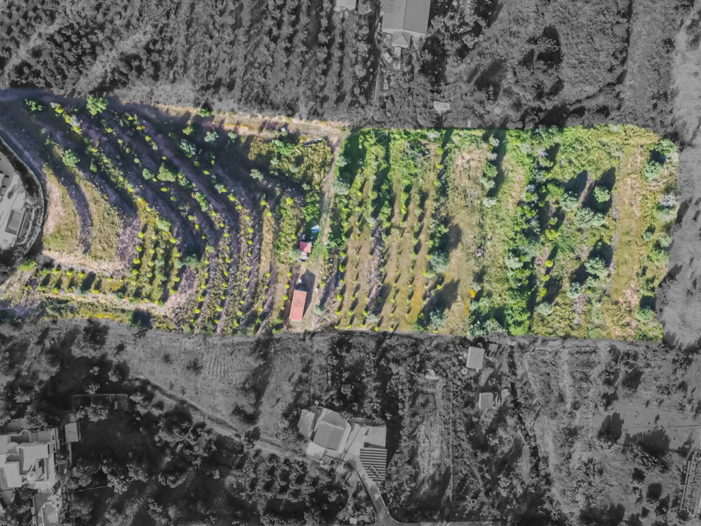 Quinta para venda com vista para Castelo de Silves - Image 31