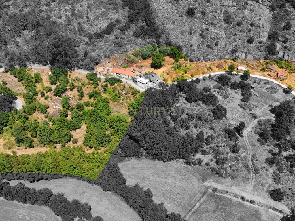 Quinta com Casa para Recuperação em Ferreira de Aves, Viseu - Image 6