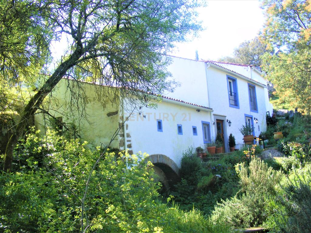 Quinta Típica Alentejana, Licença de Turismo Rural, Arrendamento, Arraiolos - Image 2